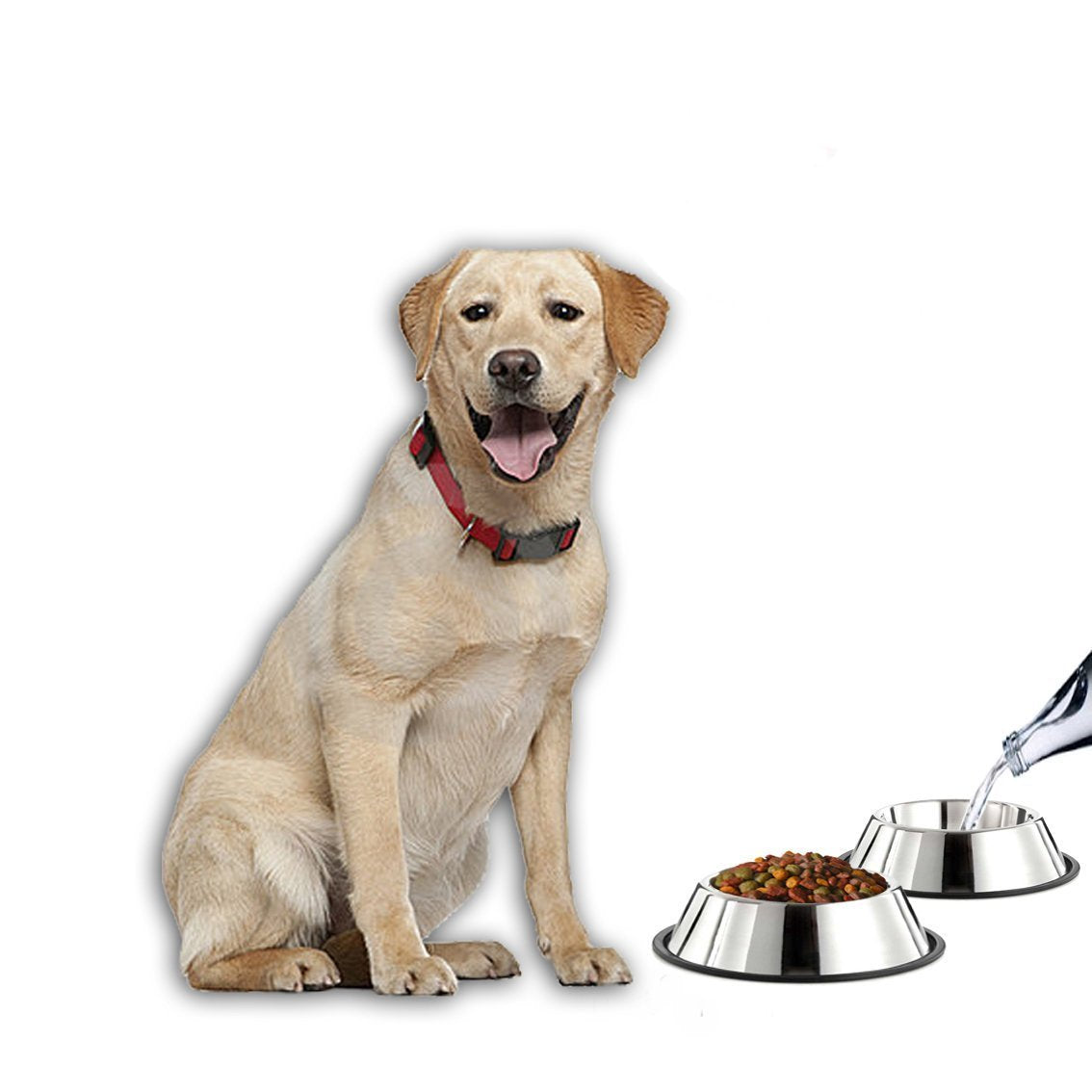 Bol Mlife inox lavable au lave-vaisselle, pratique et rapide.