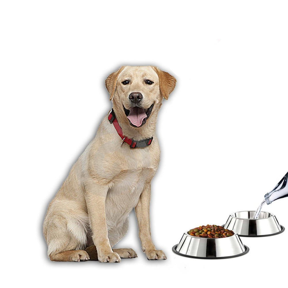 Bol Mlife inox lavable au lave-vaisselle, pratique et rapide.