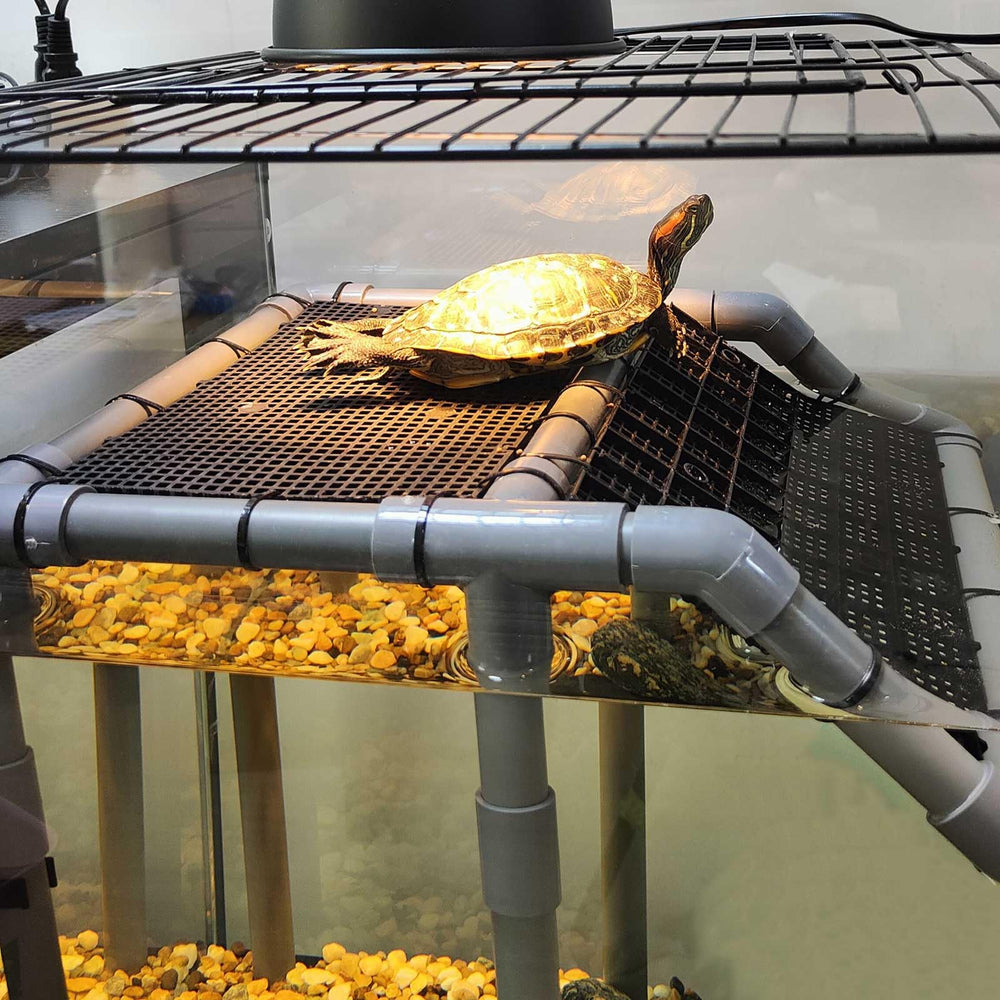MLONDHSU Rampe d’accès 45 degrés, entrée facile pour tortue.
