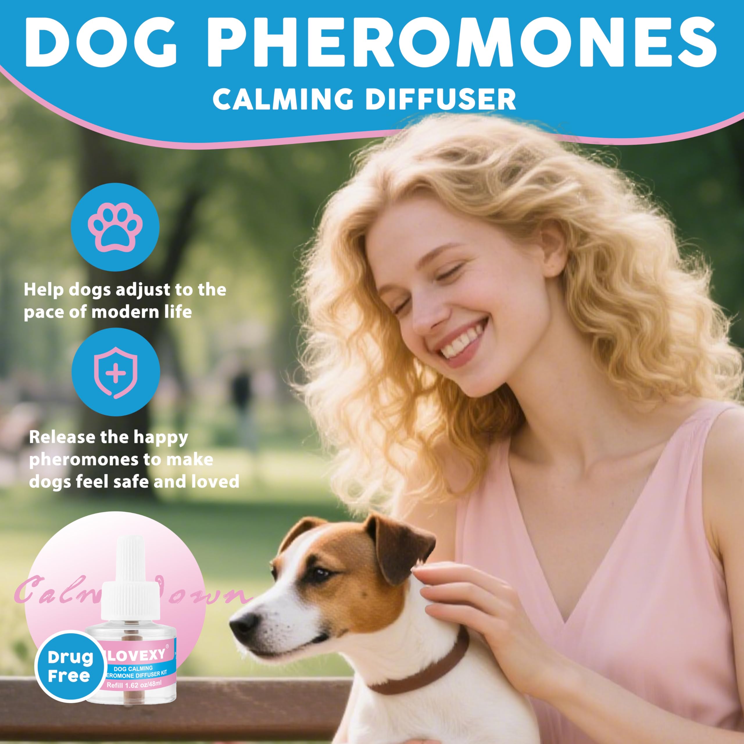 Chien détendu grâce à MLOVEXY, chambre calme et sans agitation.