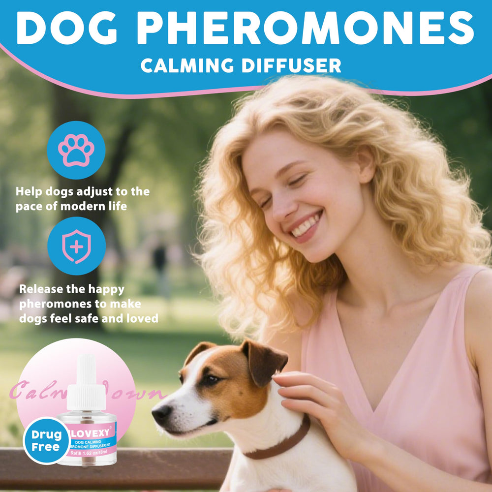 Chien détendu grâce à MLOVEXY, chambre calme et sans agitation.