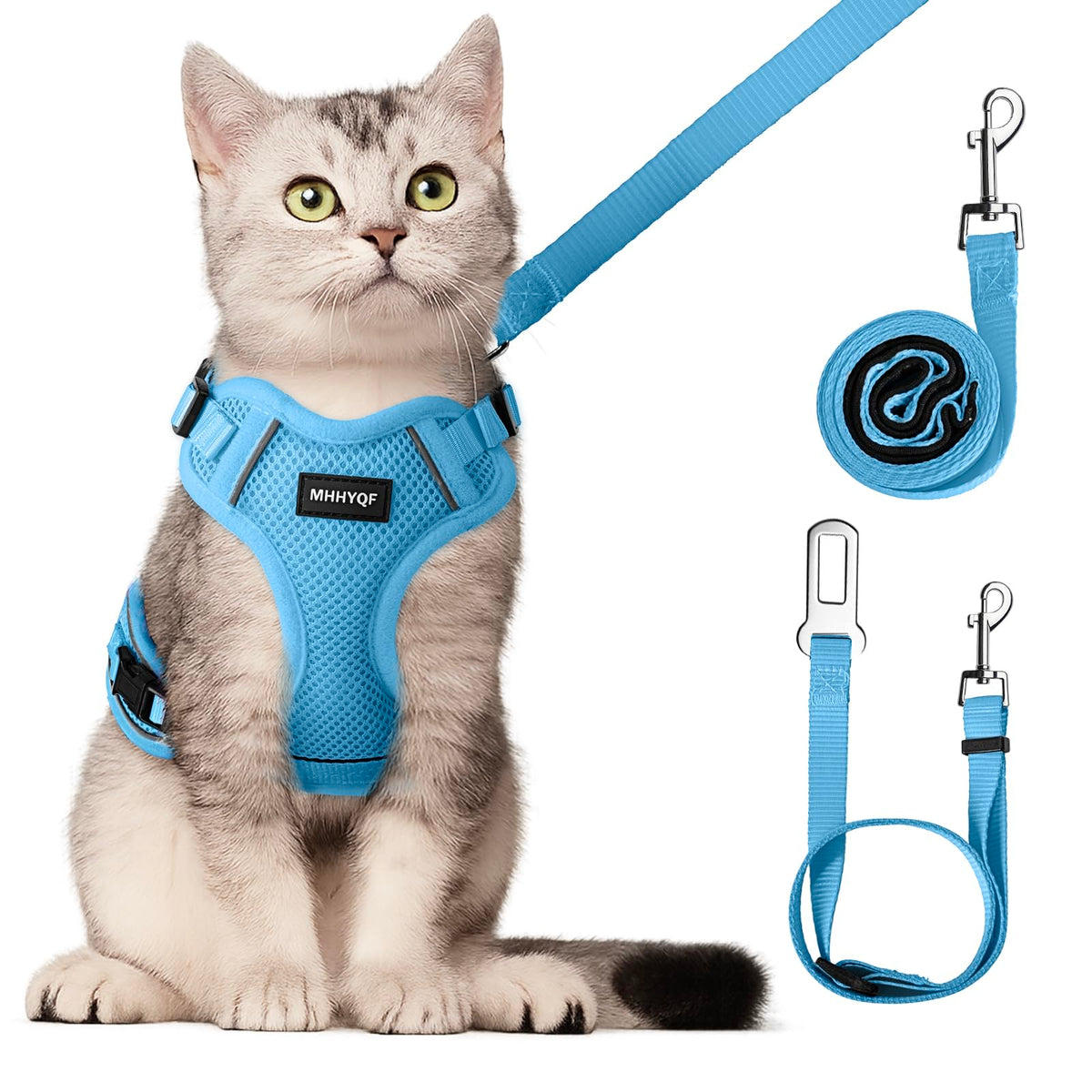 Harnais MHHYQF bleu sur chat, confort durable pour promenades quotidiennes.