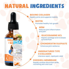 MNQAXZ Collagène chat – bouteille gouttes pour confort articulaire potentiel