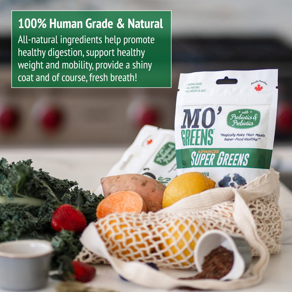 Mo' Greens mobilité: articulations saines pour chiens et chats.