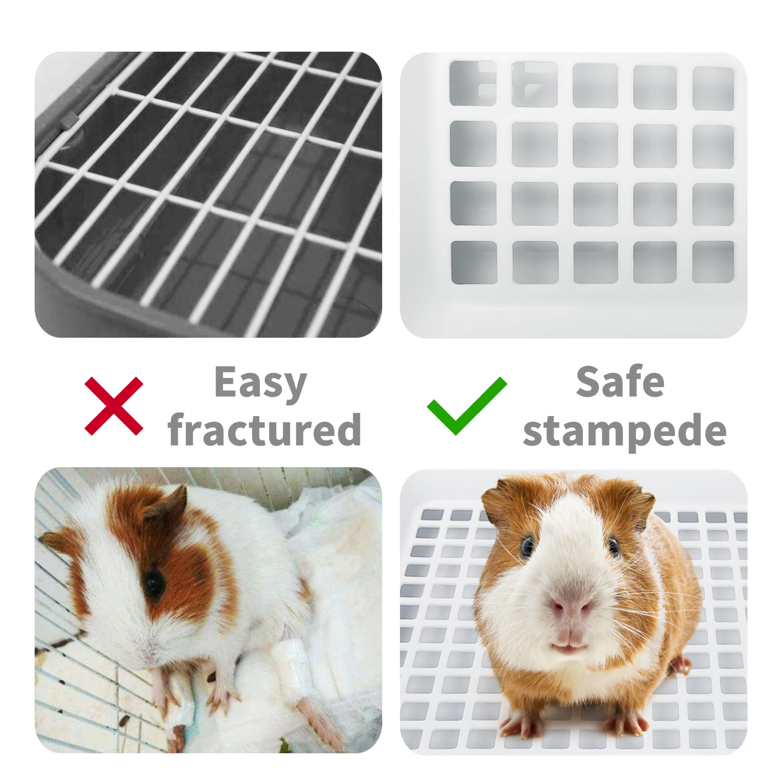 Moan&Miao Toilette petit animal dimensions compactes convient aux cages petites.