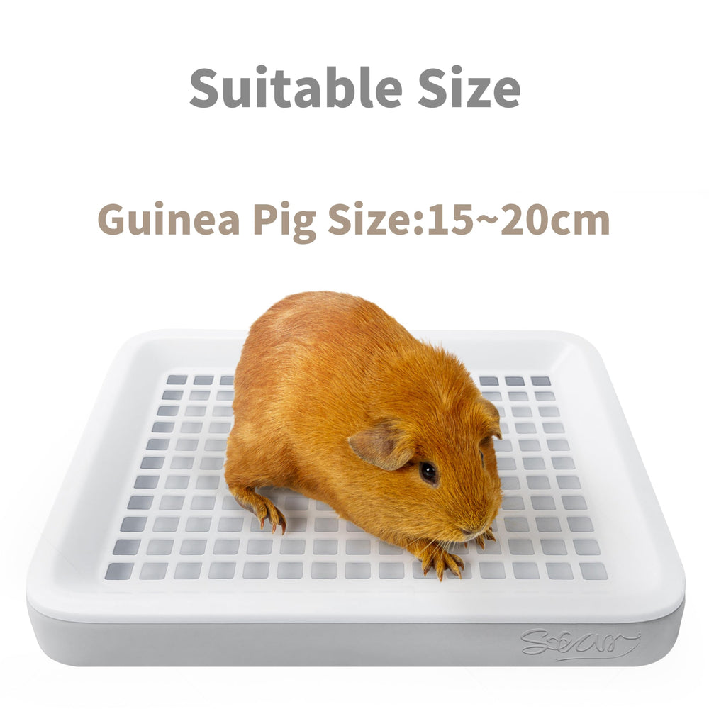 Moan&Miao Toilette petit animal hauteur 3 cm s adapte aux coins de cage.