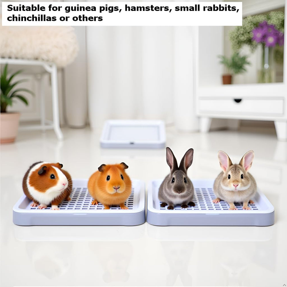Moan&Miao Toilette petit animal montage nettoyage simple et rapide.