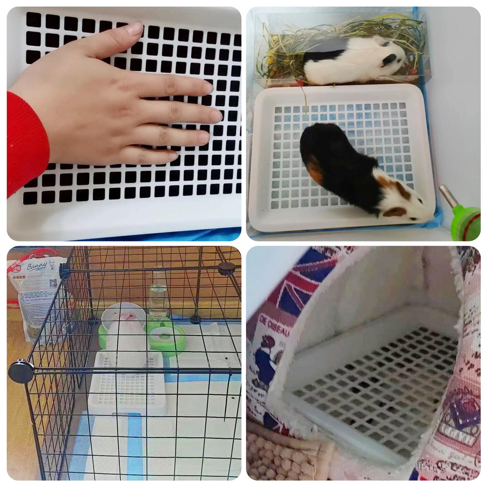 Moan&Miao Toilette petit animal utilisation en cage pratique au quotidien.