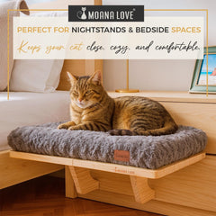Chat au soleil Moana Love hamac de fenetre profiter de la lumière naturelle