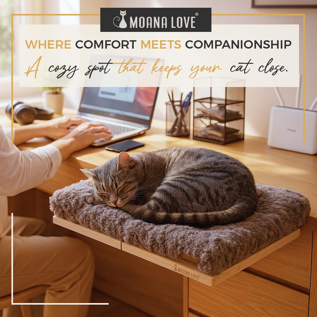 Installation simple Moana Love banquette de fenetre chat montage rapide