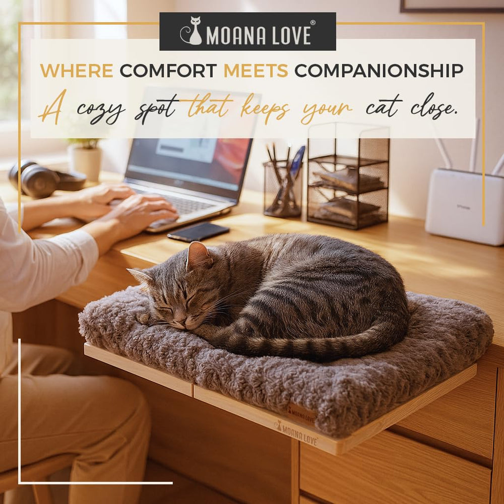 Installation simple Moana Love banquette de fenetre chat montage rapide
