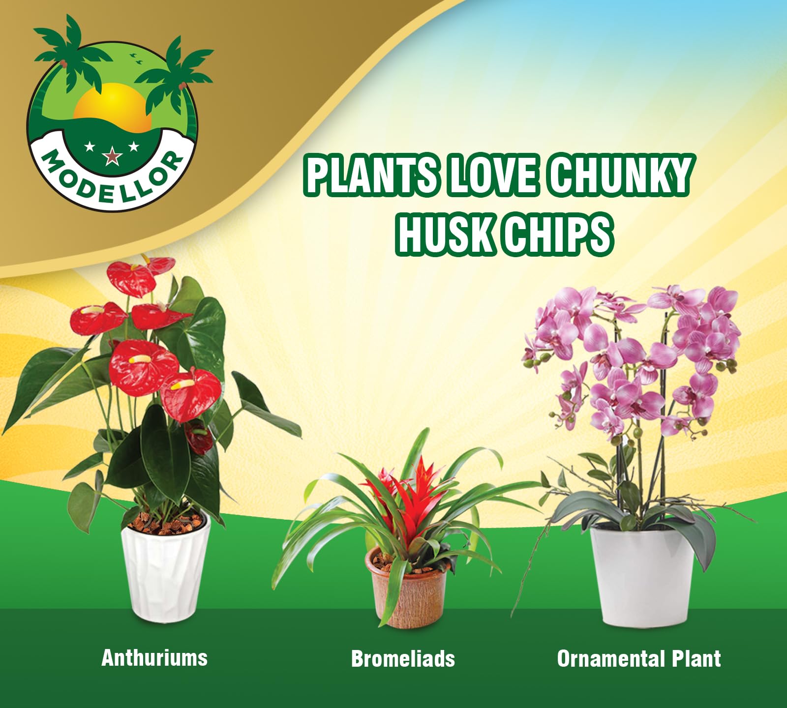 MODELLOR orchidées et bonsaïs substrat favorise racines et floraison
