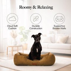 Lit chien Modern Threads velours doux soutient apaisant pendant les siestes.