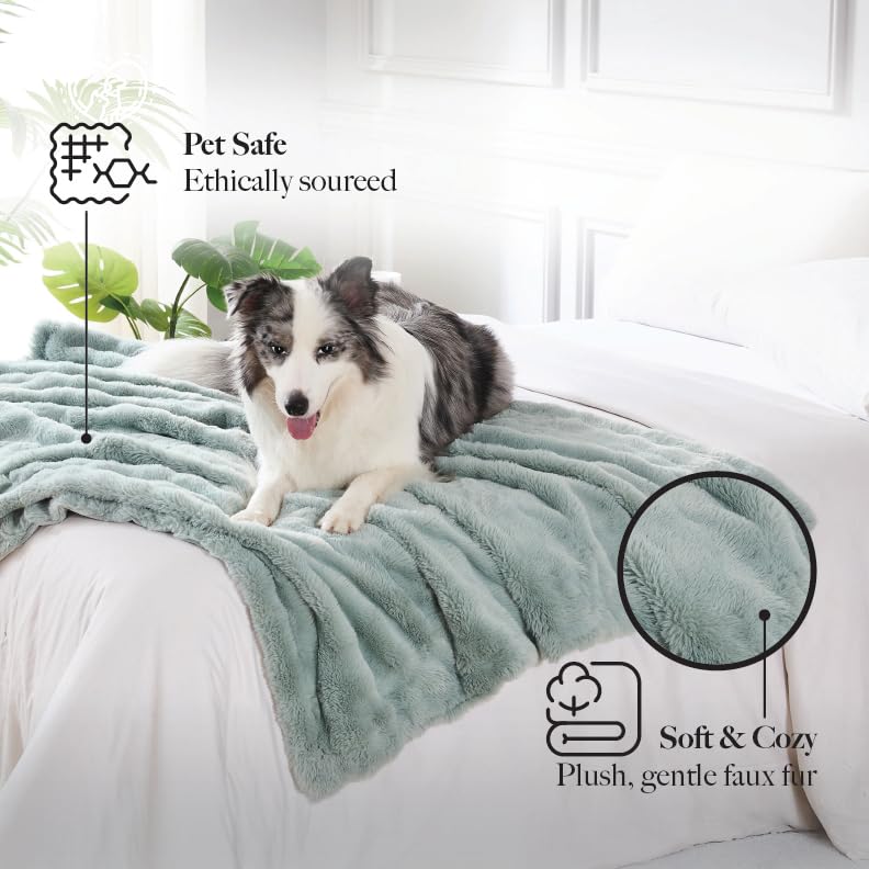 Modern Threads sur canapé; lieu idéal pour câlins de chien.