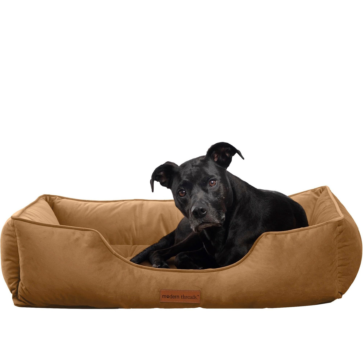 Lit pour chien Modern Threads luxueux velours tufté offrant un confort optimal.
