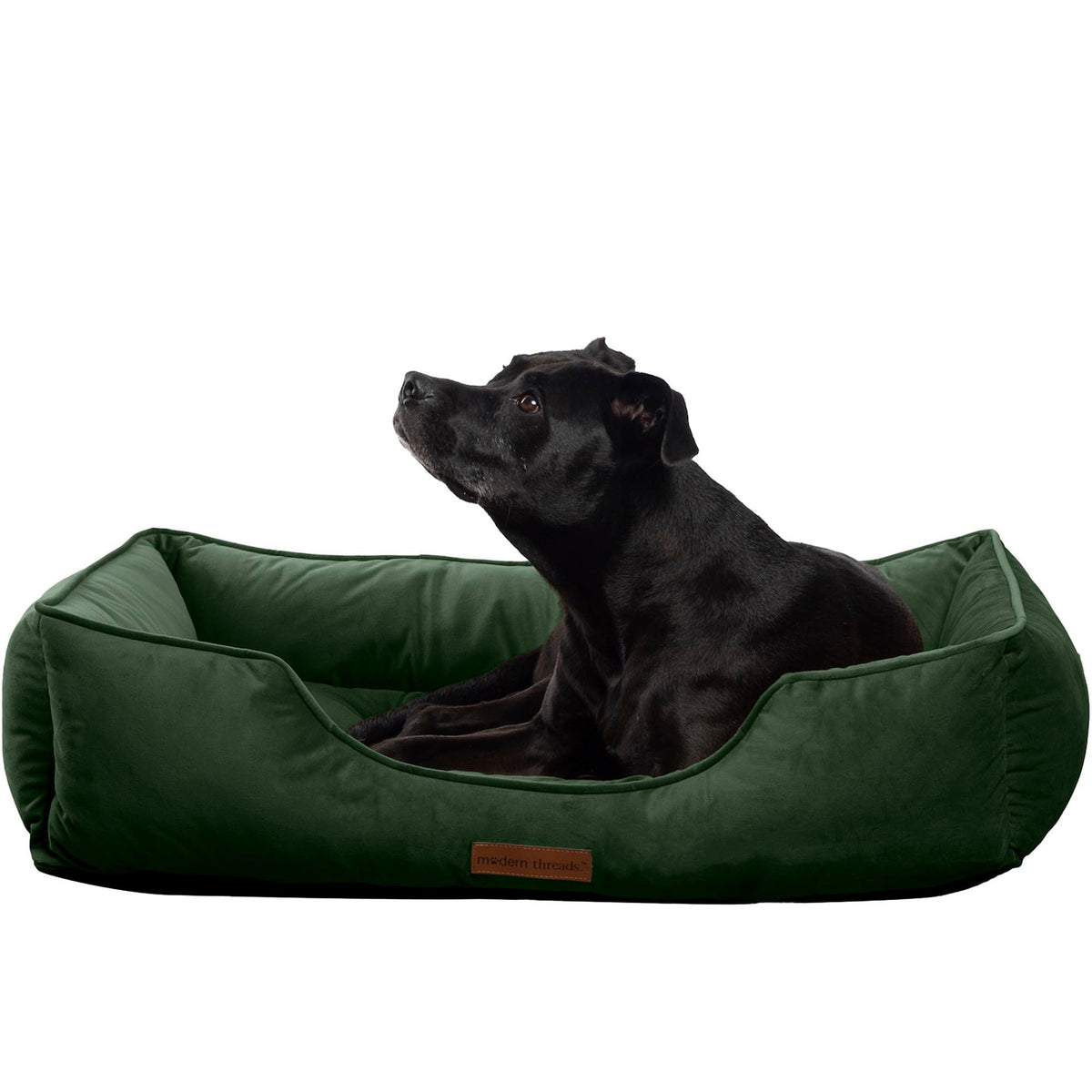 Lit chien Modern Threads en velours vert forêt pour repos luxueux.