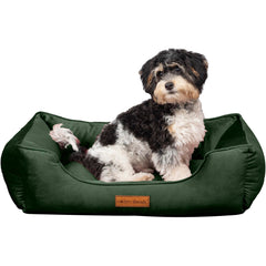 Lit Modern Threads en velours tufté, couchage douillet pour chien.