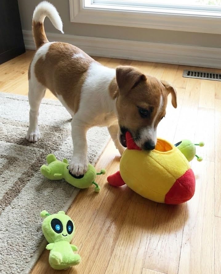 MODERN WAVE - peluche douce, sifflet de qualité pour chien.