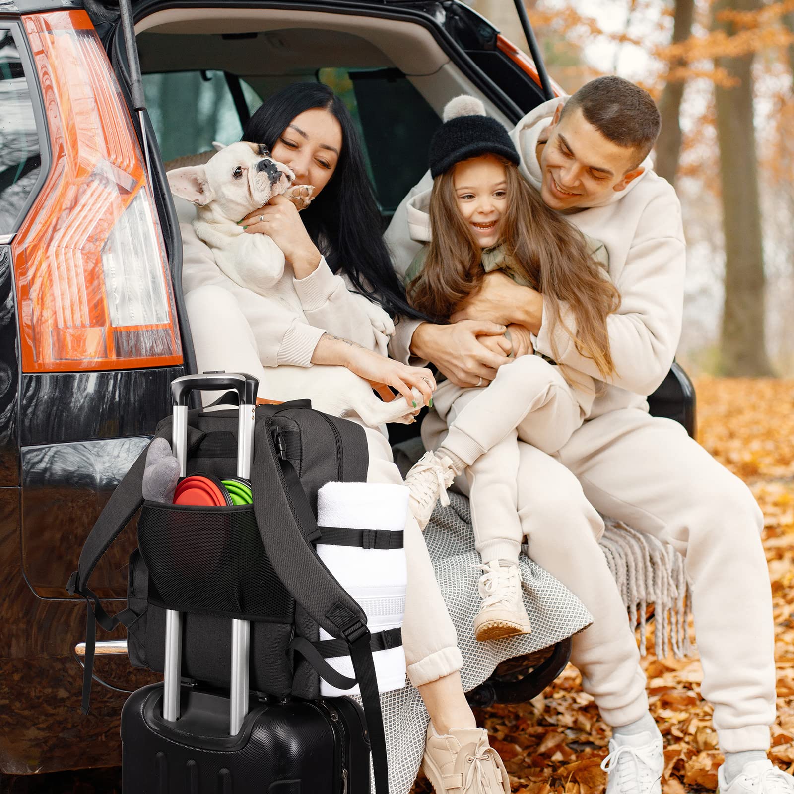 Modoker Dog Travel Bag – sous-siège avion, pratique et compact pour les voyages