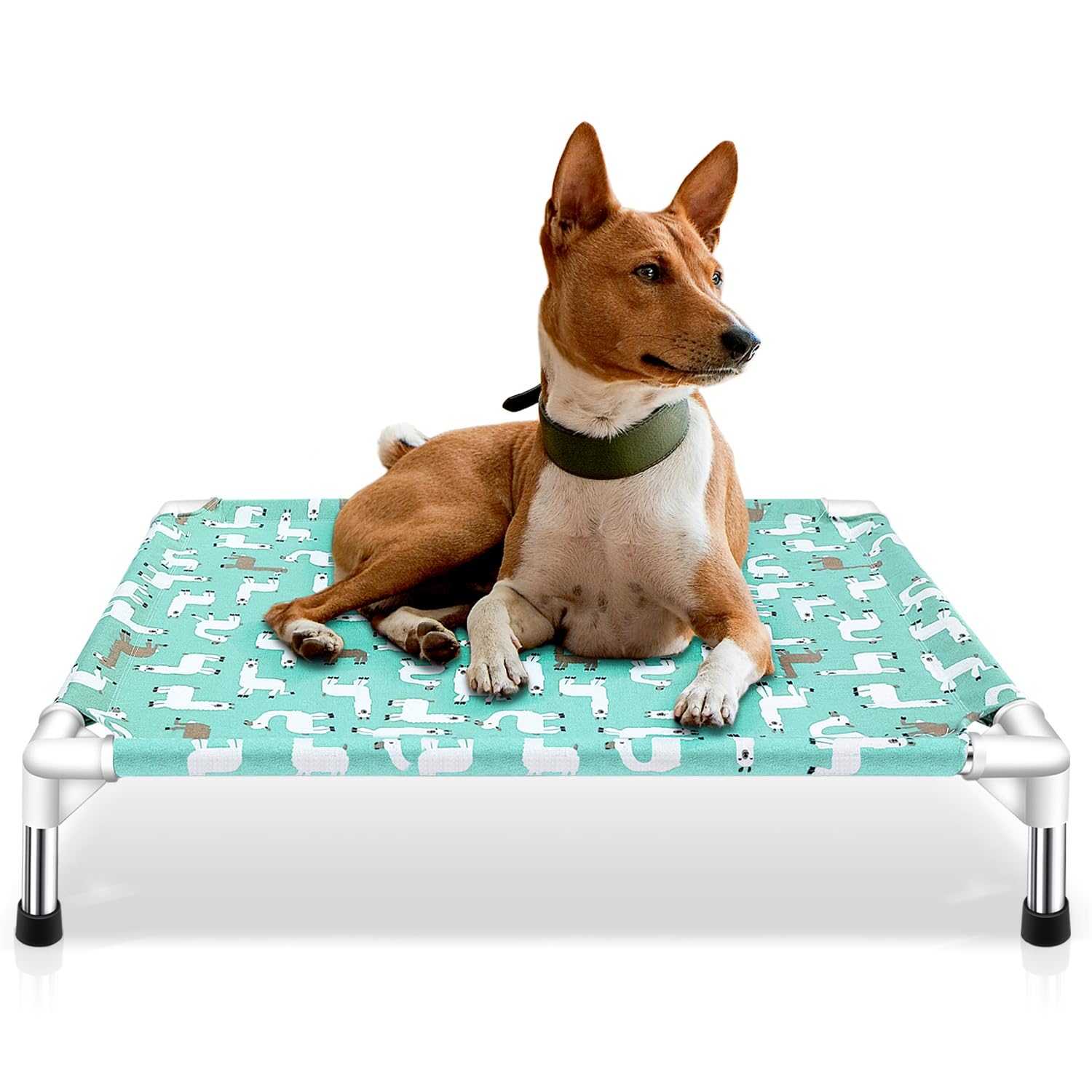 Modorki lit chien surleve, confort intérieur optimal pour le repos.