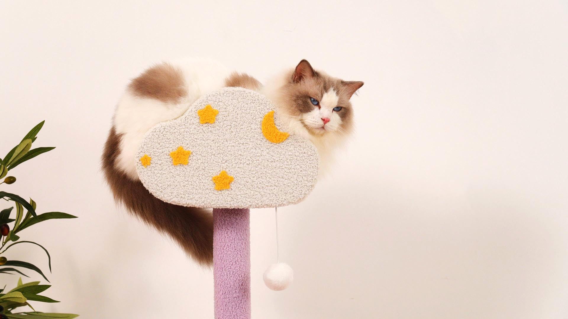 MODUSKYE Moon Star Cat Tree cadeau idéal pour amoureux des chats
