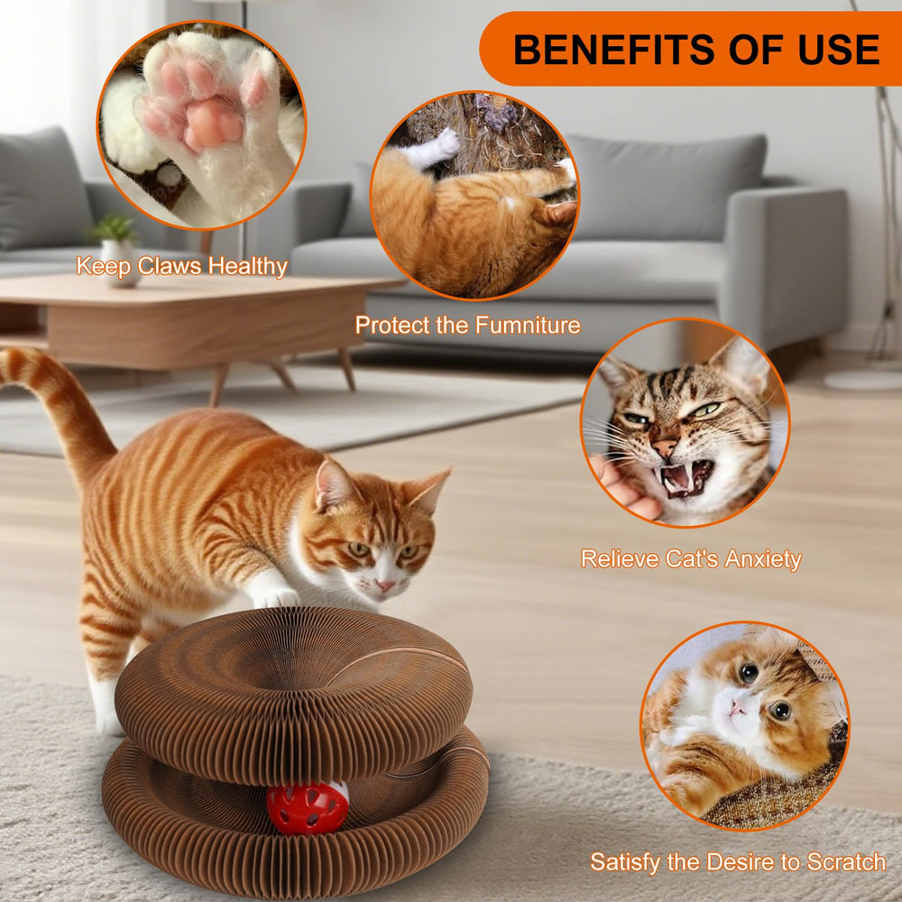 Détail carton écologique Kitty Kurls: matériau sûr et durable