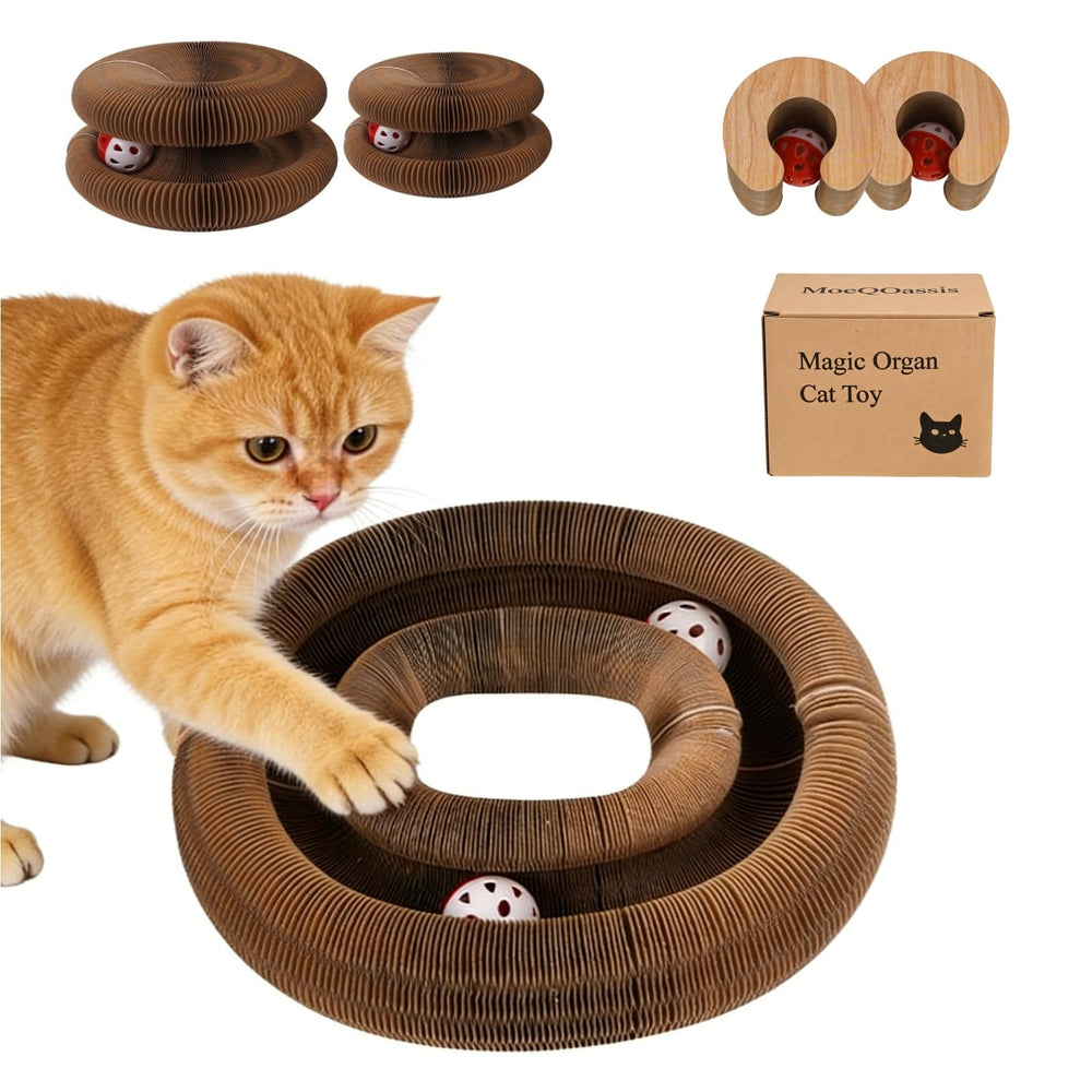 MoeQOassis Kitty Kurls planche-grattage infinie: surface robuste pour griffes