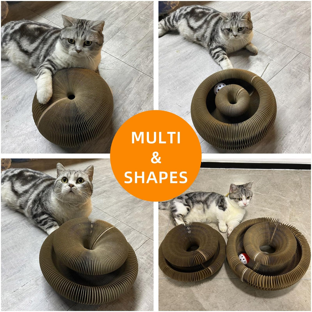 Protège-meubles Kitty Kurls: alternative saine pour le griffage