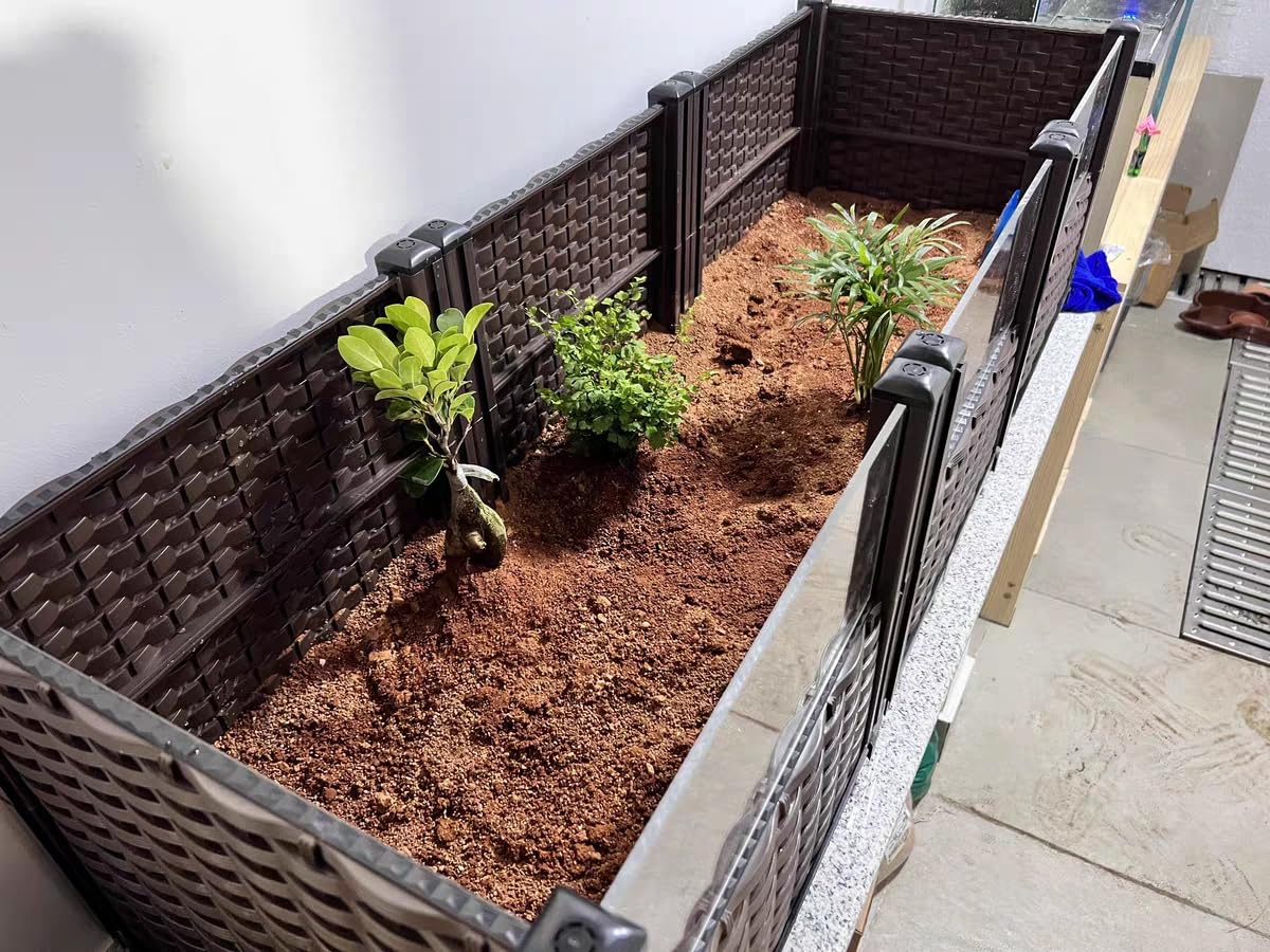 MOGUOBIN Habitat Tortue: pieds détachables pour installation sur table ou sol