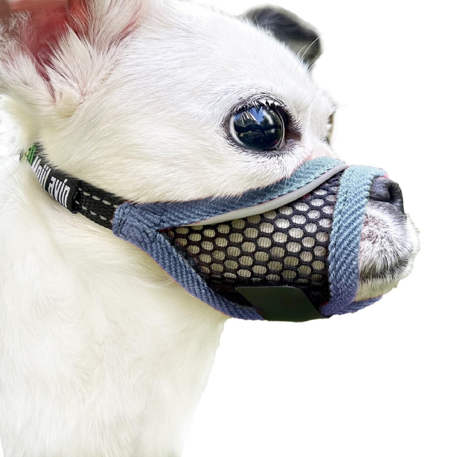 MoiiLavin museau petit chien en maille respirante pour une respiration facile