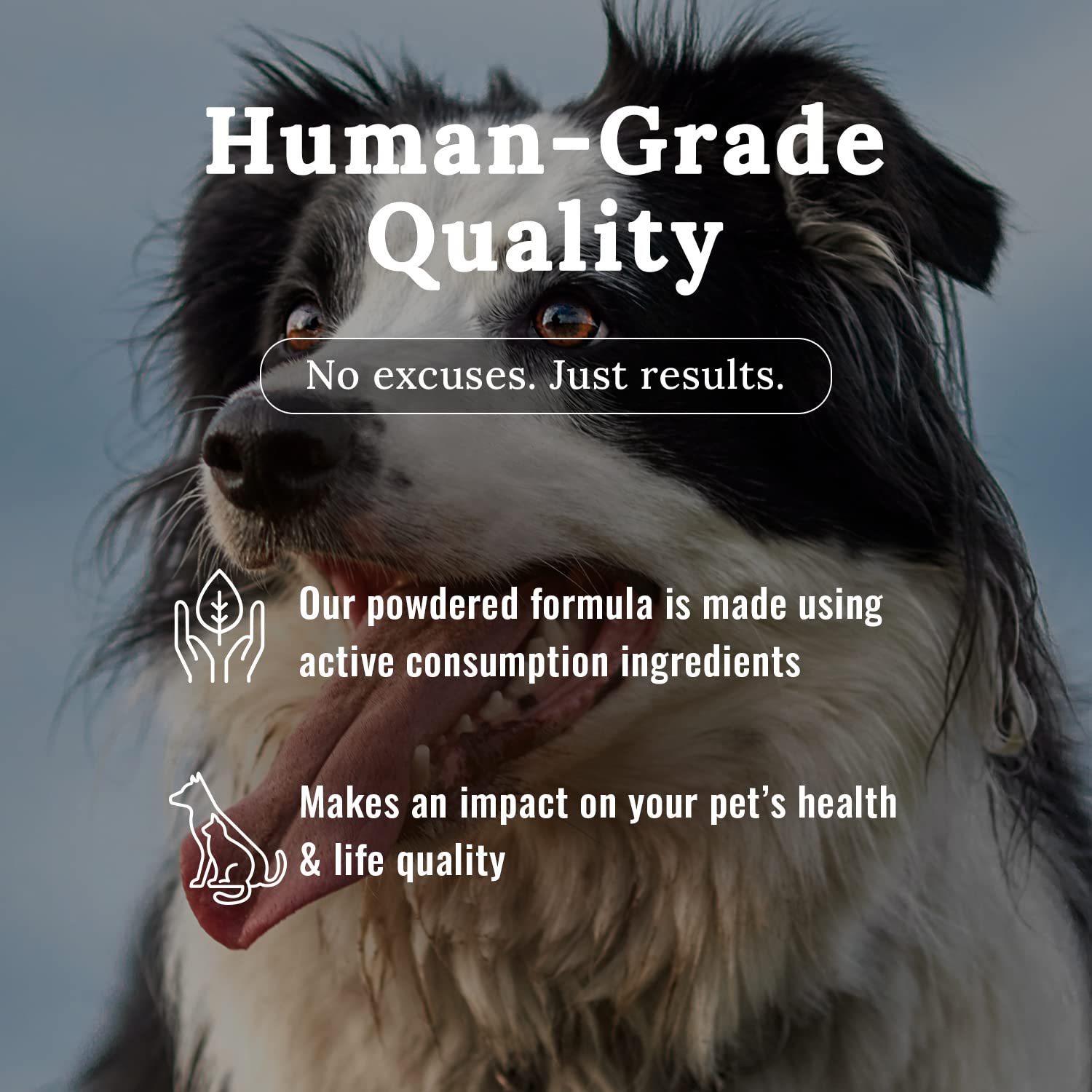 Mojo Joint – dosage pratique selon le poids de l’animal.