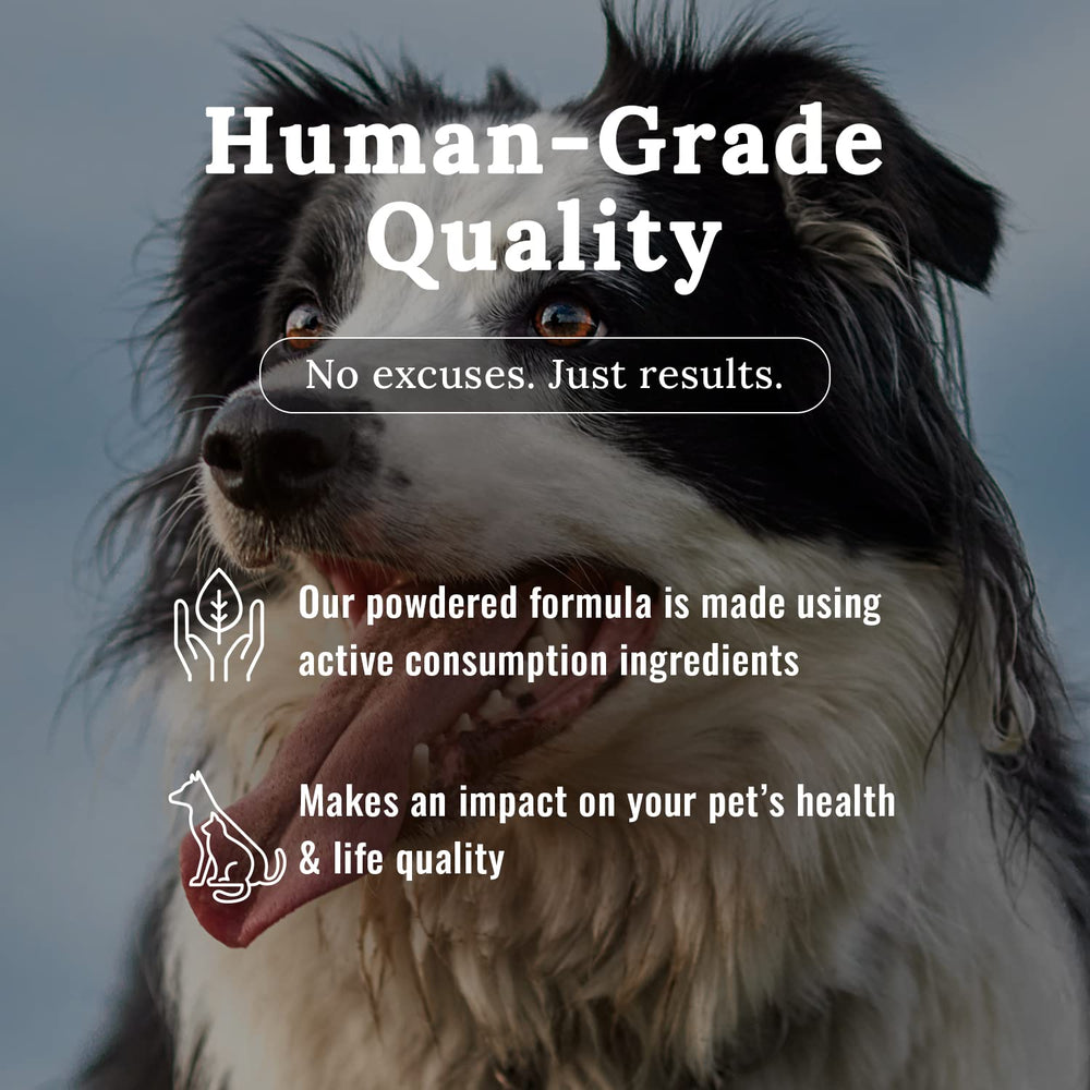 Mojo Joint – dosage pratique selon le poids de l’animal.