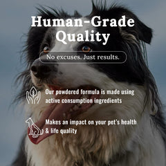 Mojo Joint – dosage pratique selon le poids de l’animal.