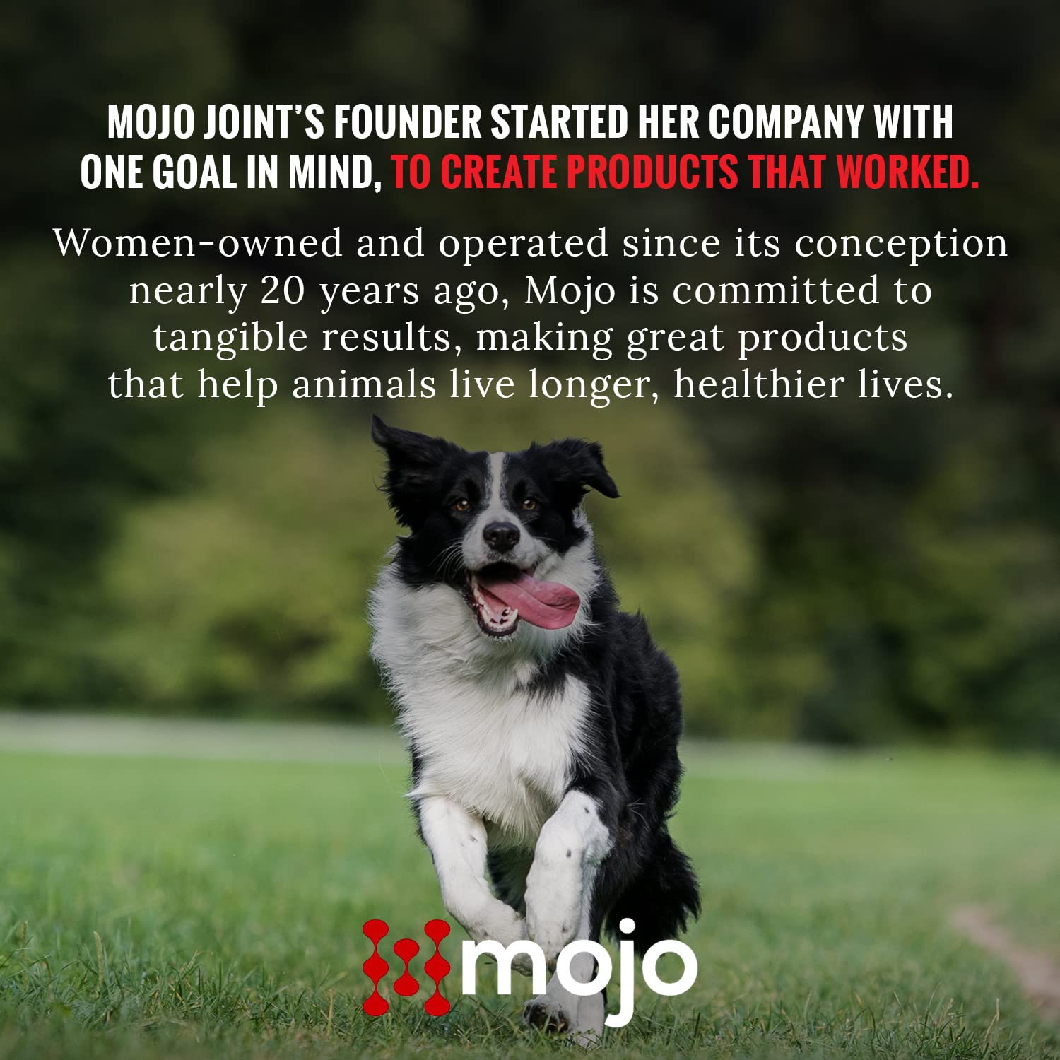 Mojo Joint – sécurité et qualité alimentaire sans PFAS ni cuisson longue.
