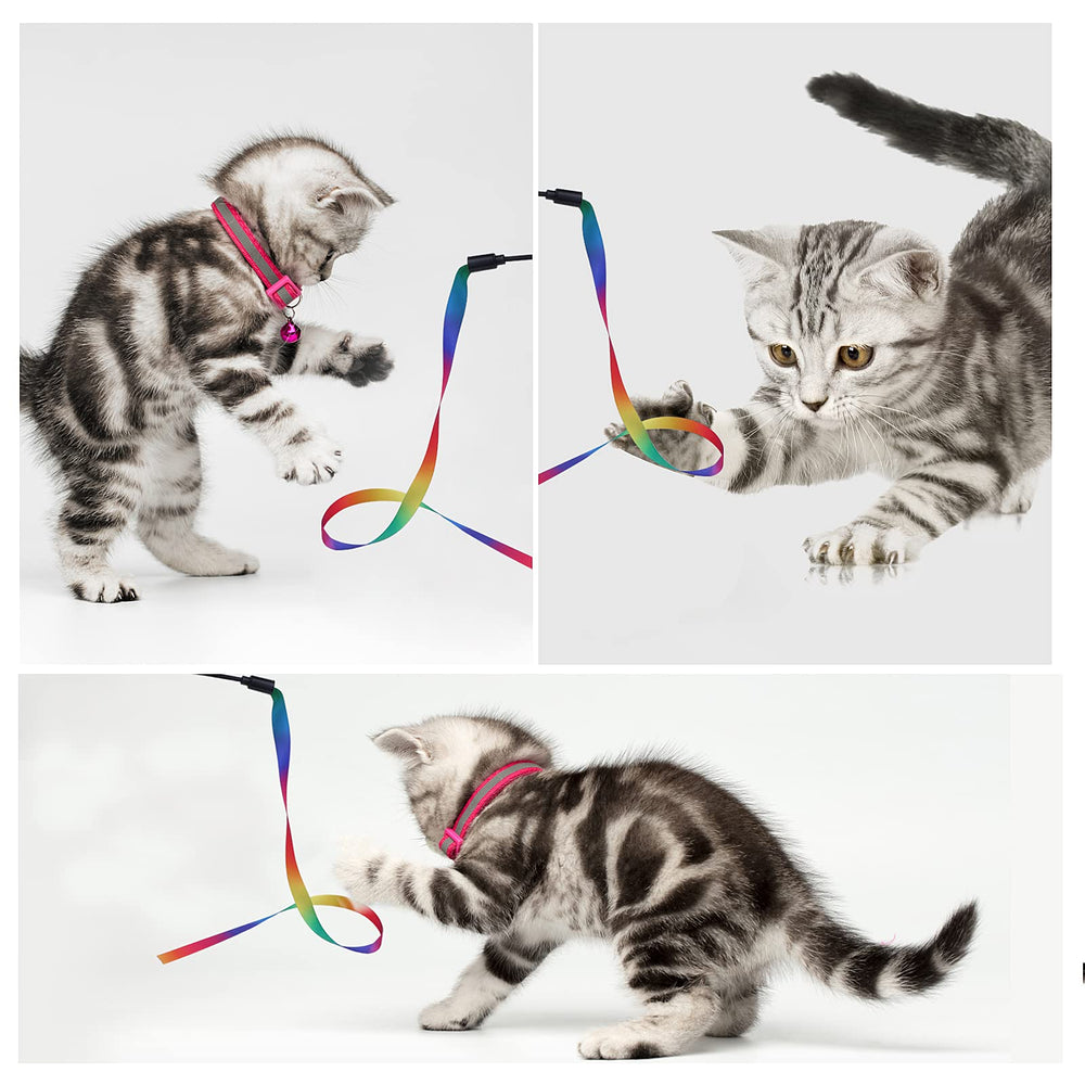 Molain baguette chat sécurité non toxique pour des séances confiantes