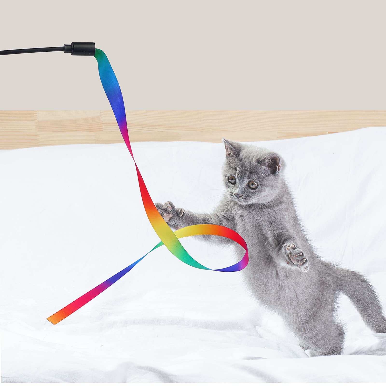 Molain cadeau idéal pour les amateurs de chats souhaitant s amuser