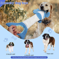 Molantaule jouet durabilité tissu peluche, résistant aux jeux robustes pour chiens actifs.