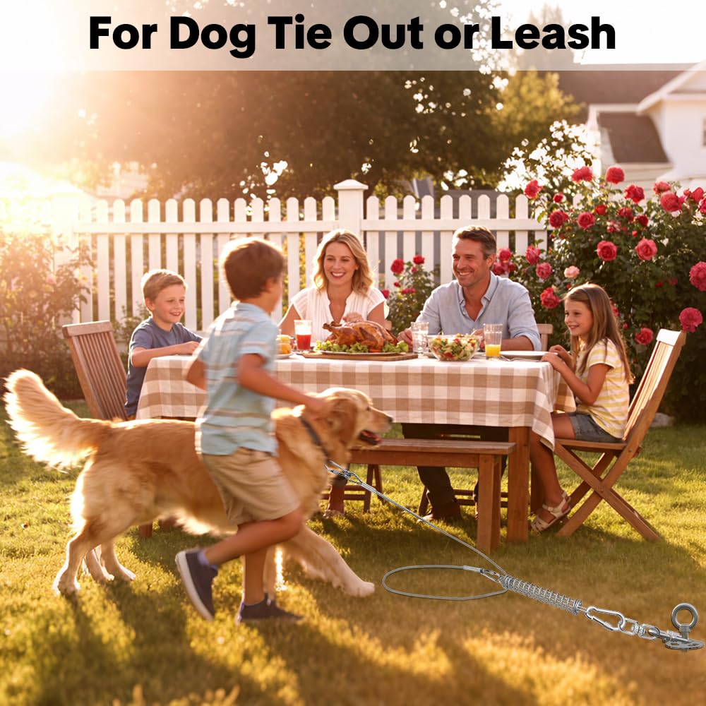 Ressort MOLANZ pack 1, solution pratique pour multi-chien.