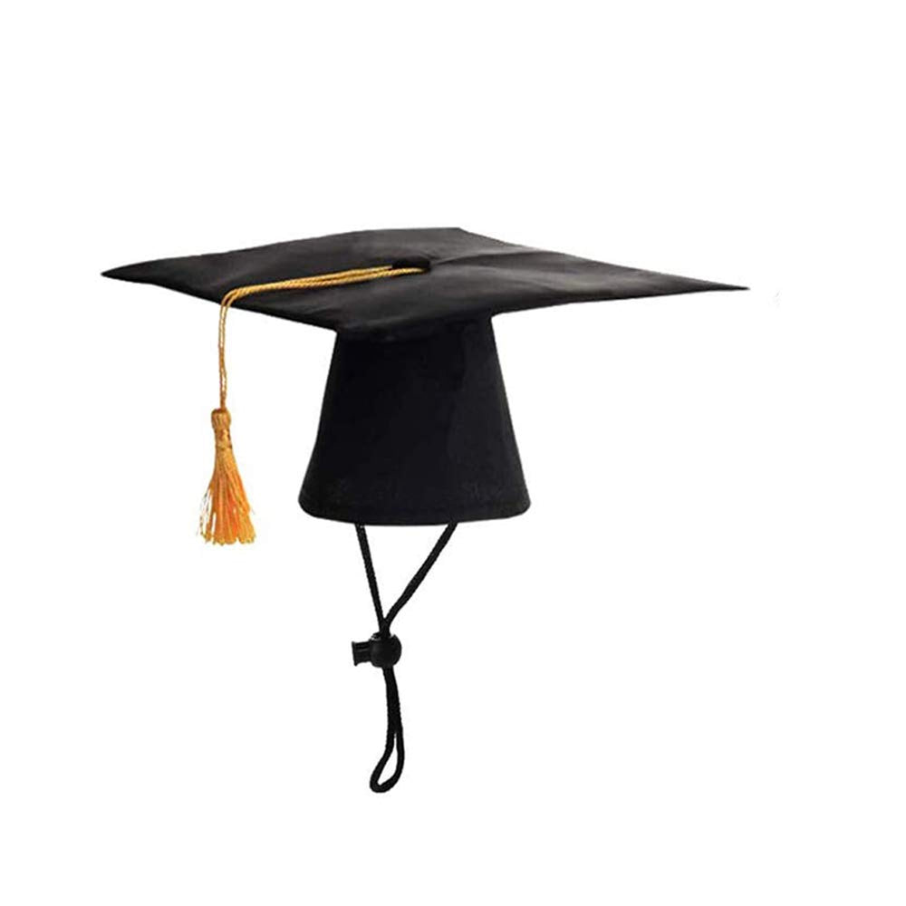 Chapeau Mollensiuer pour animal – vue avant, léger et idéal pour séance photo.
