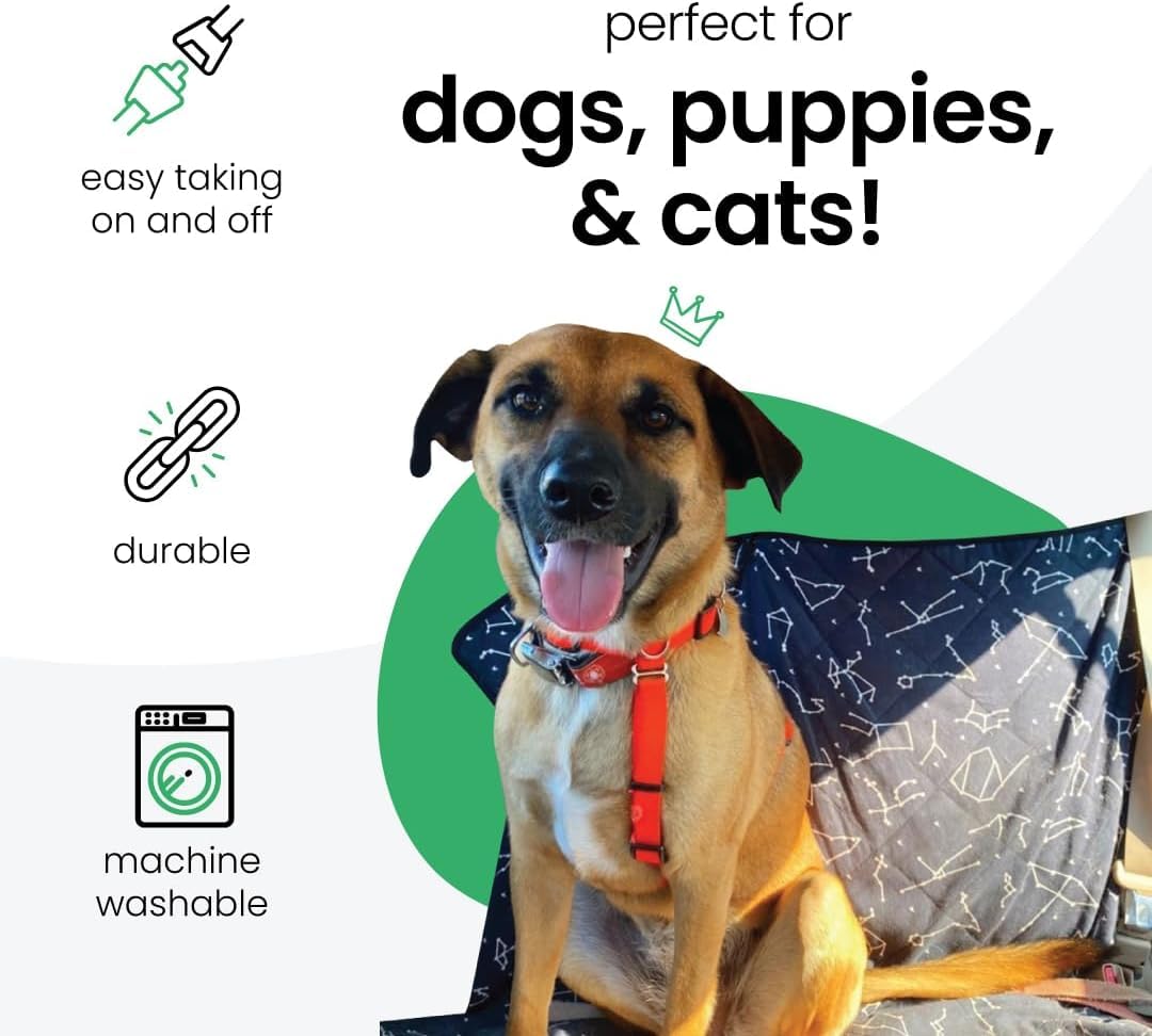 Molly Mutt couvercle-de-coffre-pour-chien garde l’espace propre.