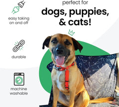 Molly Mutt couvercle-de-coffre-pour-chien garde l’espace propre.