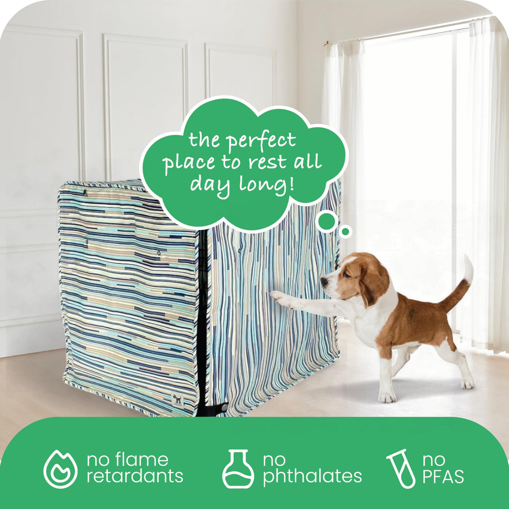 Dimensions adaptées à la cage Molly Mutt 42x28x31 pouces