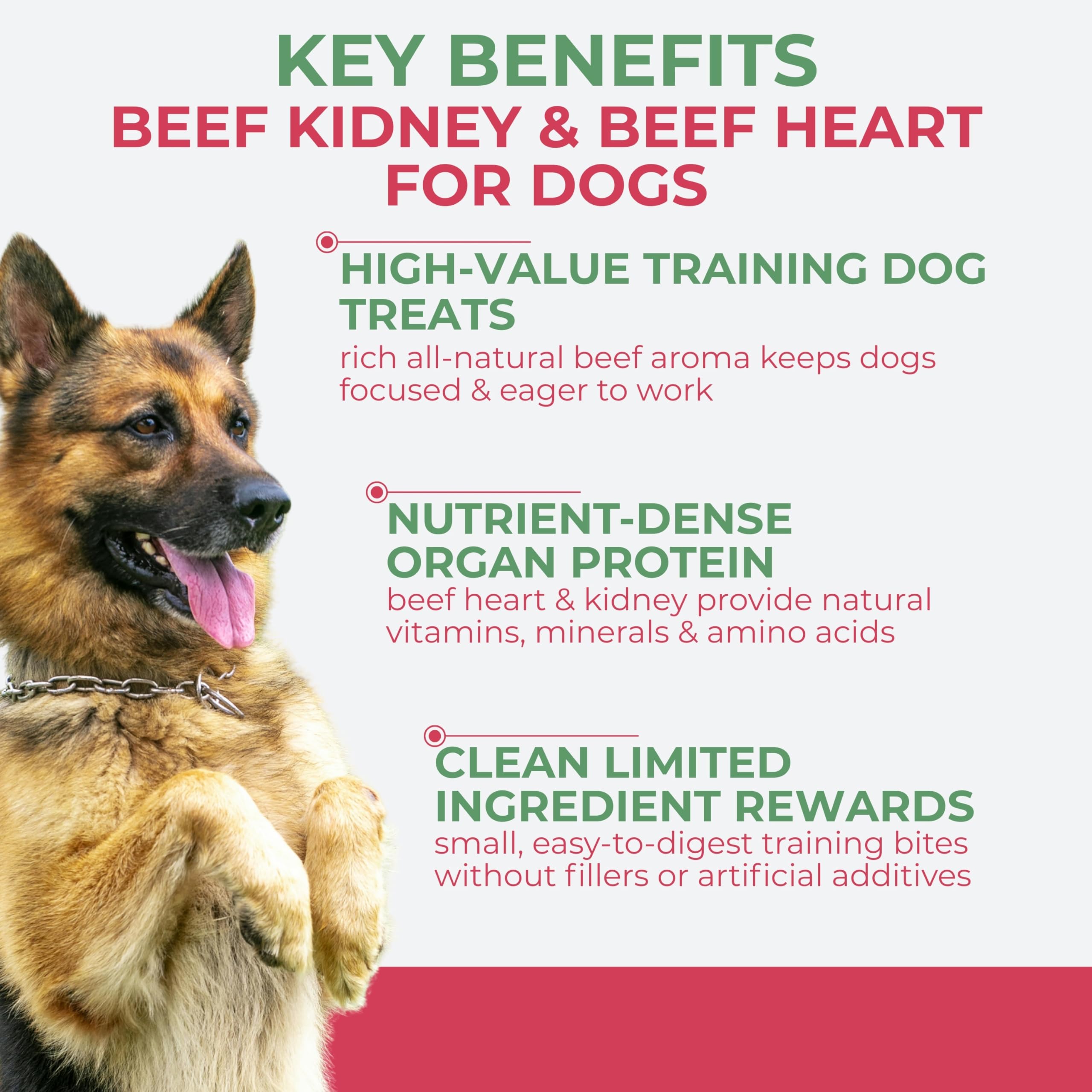 Momentum Carnivore Nutrition – chien en entraînement, récompense facile avec ces bouchées