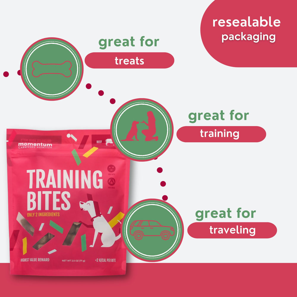 Momentum Carnivore Nutrition – format pratique de 70 g pour les séances