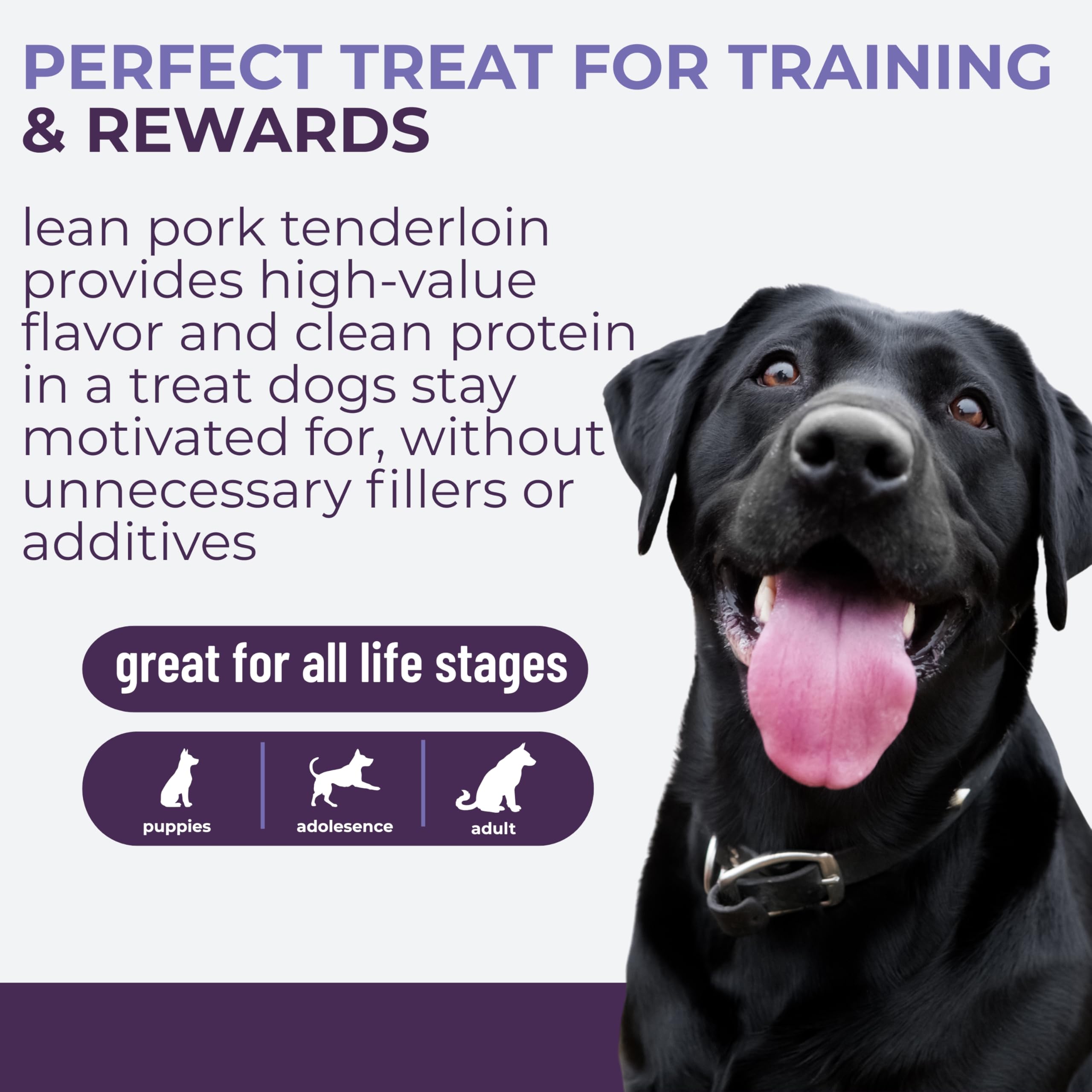 Momentum Carnivore Porc Séché Grain Free : sans céréales pour chiens sensibles