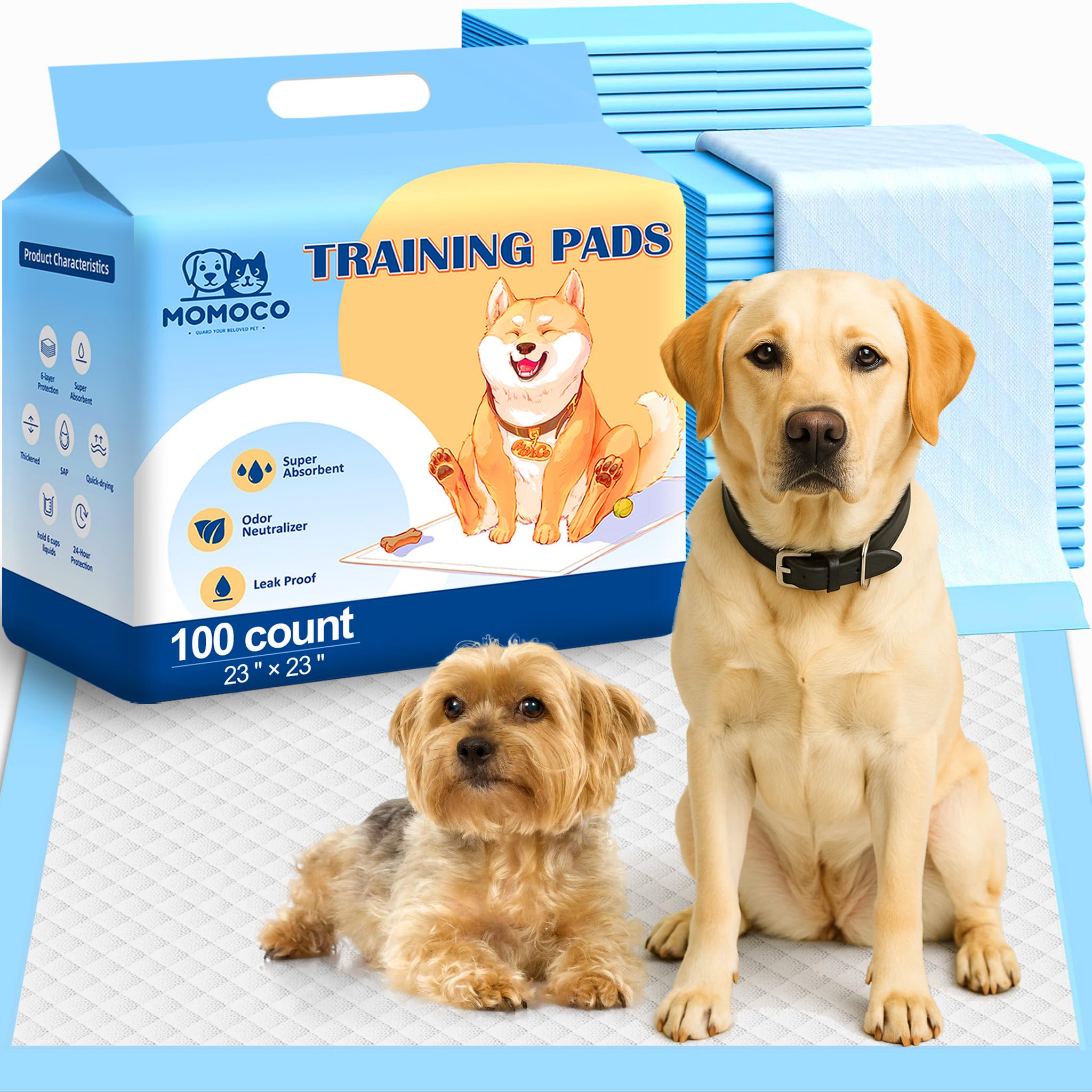 MoMoCo Tapis Chiot emballage: pratique pour démarrer l'entraînement à la maison