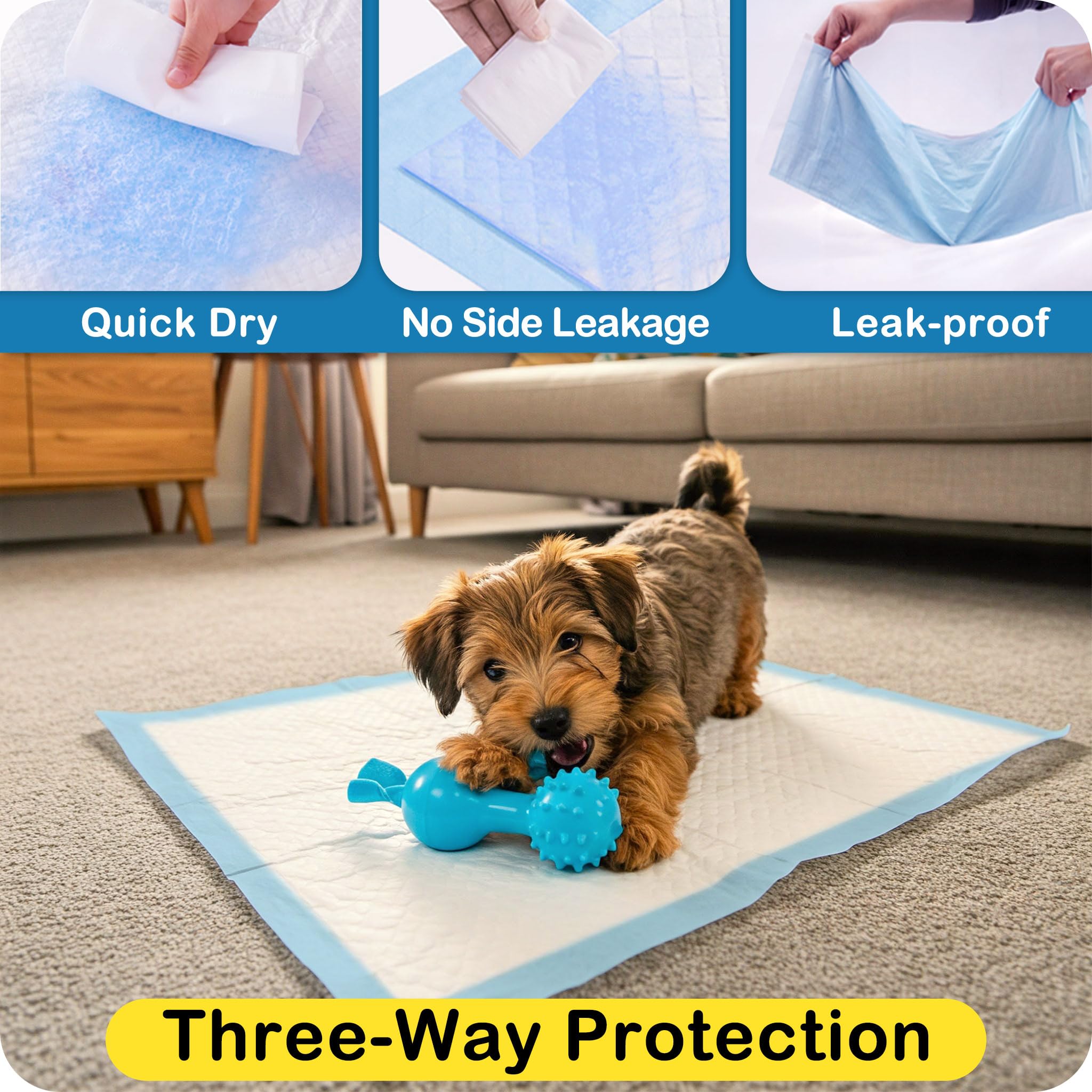 MoMoCo Tapis Chiot imperméable: protection des sols contre les fuites