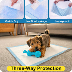 MoMoCo Tapis Chiot imperméable: protection des sols contre les fuites