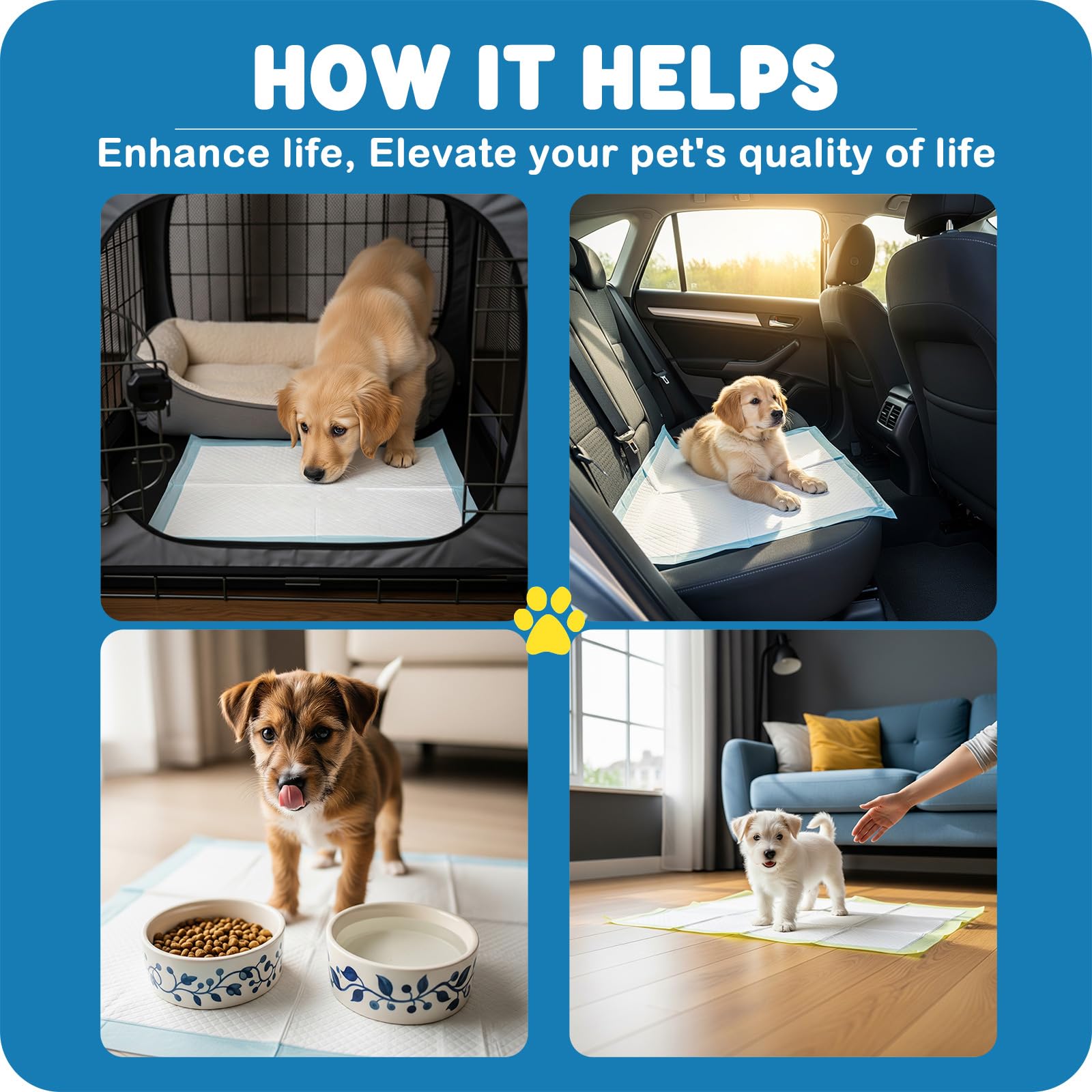 MoMoCo Tapis Chiot paquet 100: protection durable pour usage prolongé
