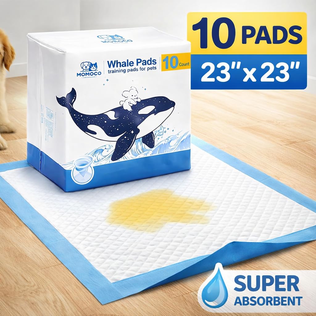 MoMoCo Whale Pads, tapis-pipi protection des sols lors des déplacements.